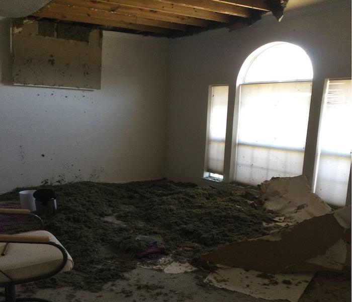 The Living Room carpet has insulation debris that resulted from the collapsed ceiling. 