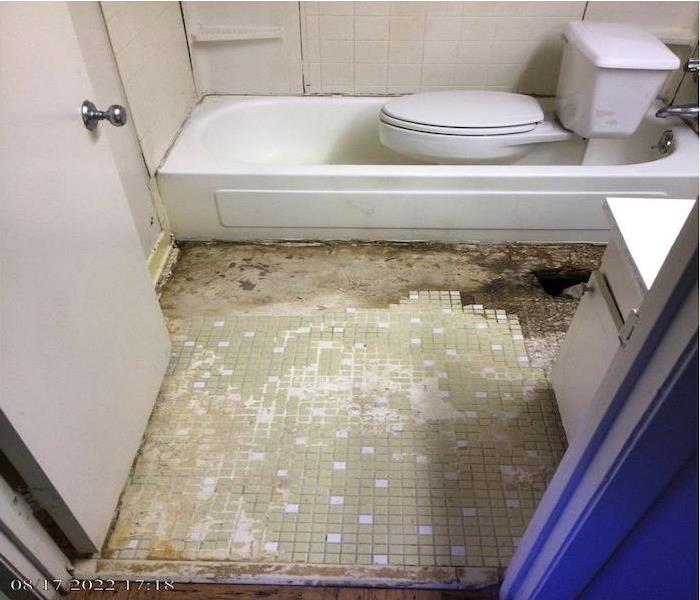 The bathtub, toilet, and tile flooring was thoroughly cleaned from the blood stains